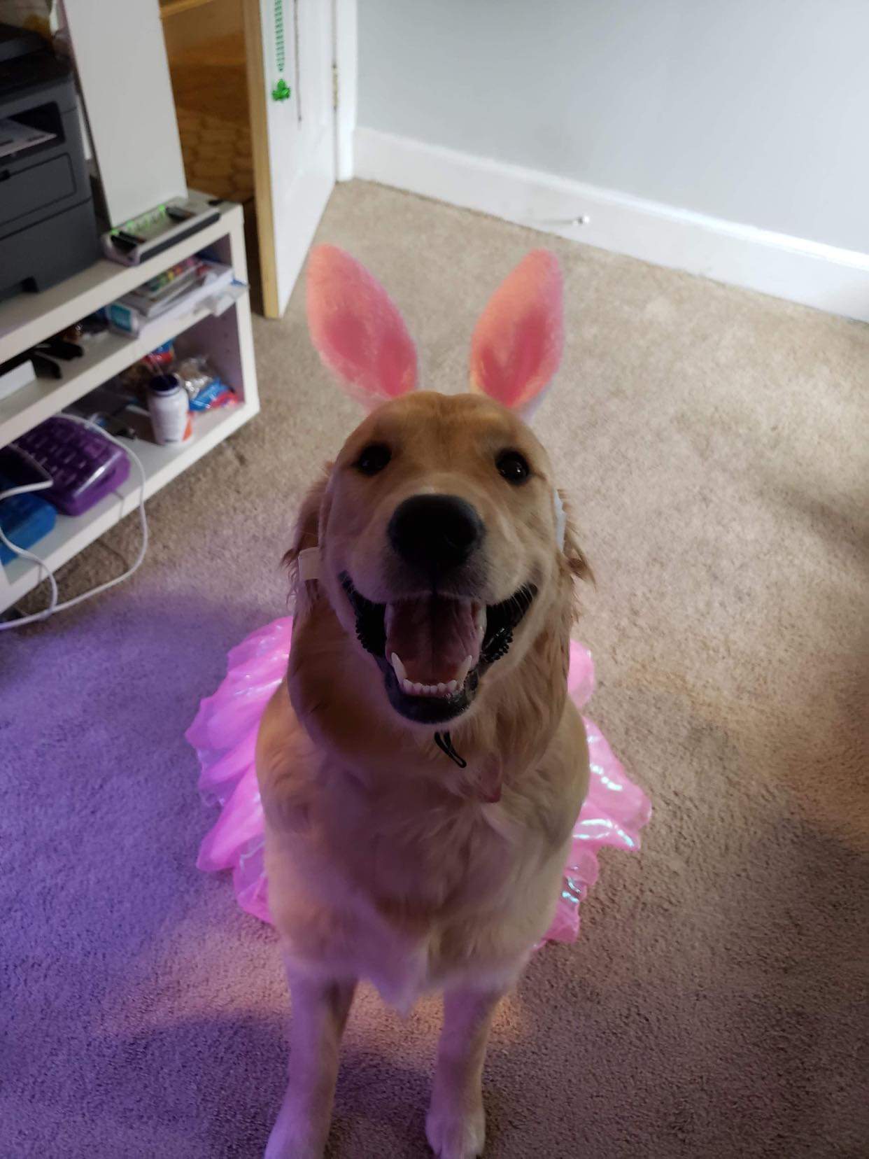 Carly – Halloween Happy