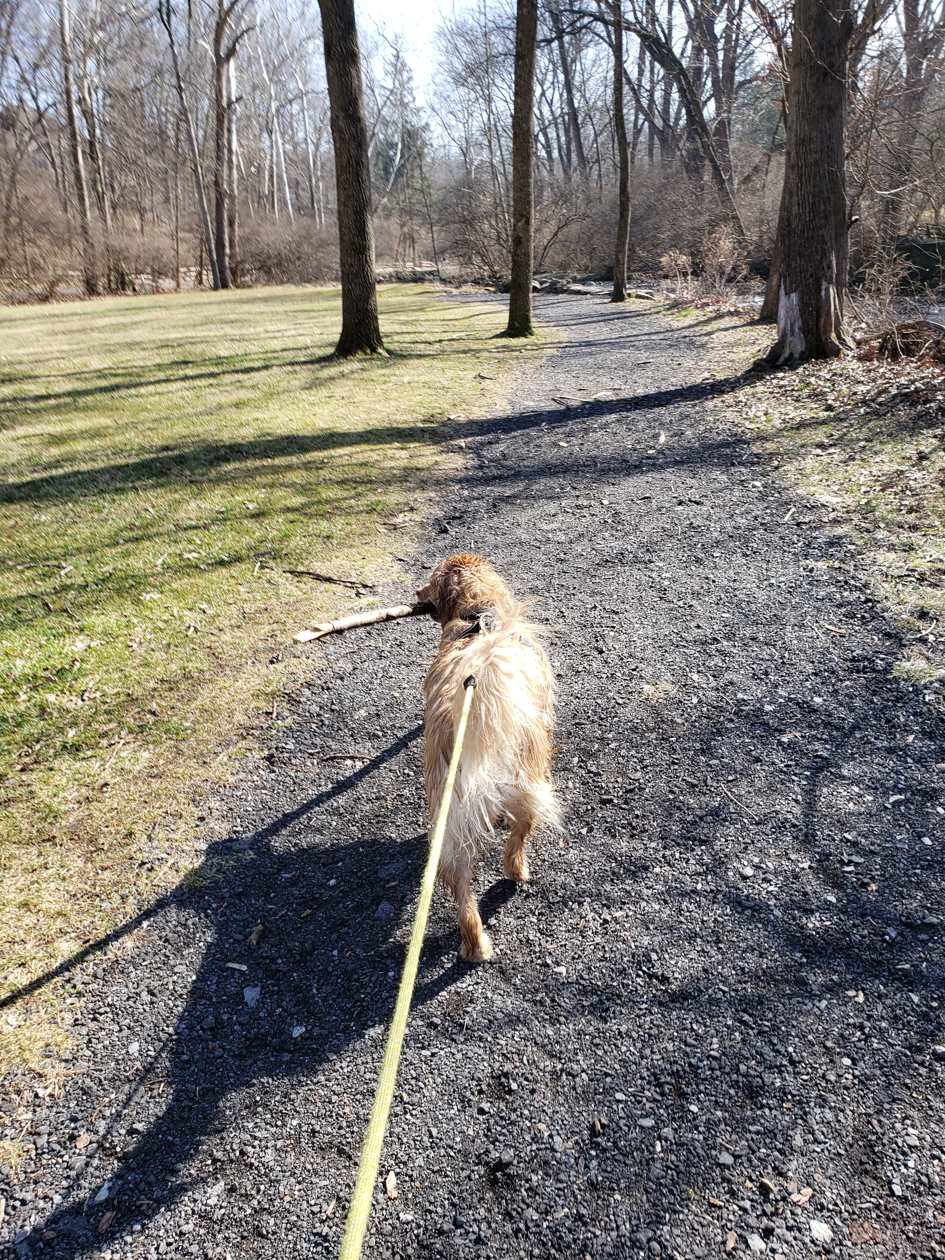 Carly – Nature Trail Safety